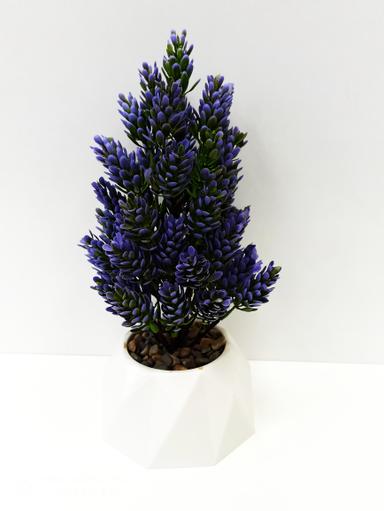 image /products/prdct_cm9zutagx089owc1kfhfv4sg3.jpg
