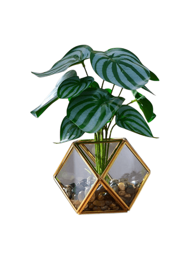 image /products/prdct_cm9zv74zf08xgwc1k0yhdgu14.png