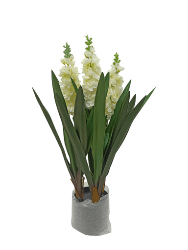 image /products/prdct_cmcc85tzj010zcn1k91h6b6j2.png